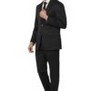 peter england men's polyester blend regular business suit pants set